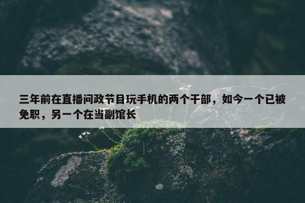 三年前在直播问政节目玩手机的两个干部，如今一个已被免职，另一个在当副馆长