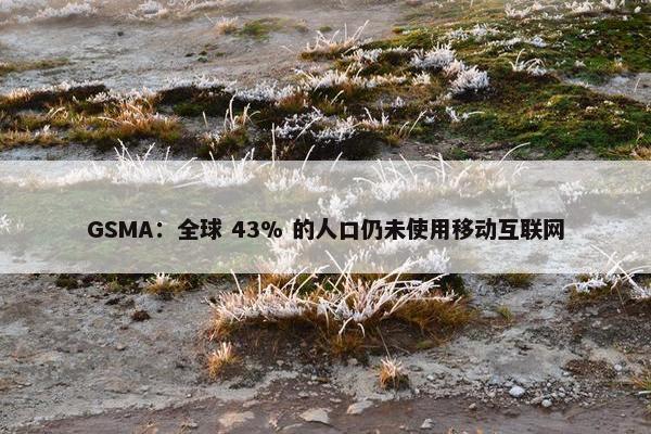 GSMA：全球 43% 的人口仍未使用移动互联网