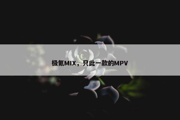 极氪MIX，只此一款的MPV