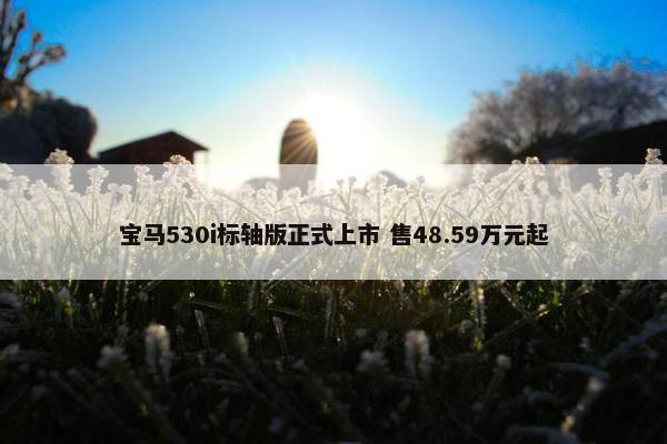 宝马530i标轴版正式上市 售48.59万元起