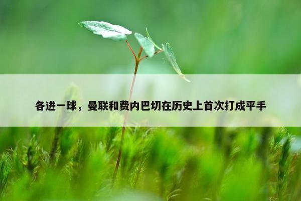 各进一球，曼联和费内巴切在历史上首次打成平手