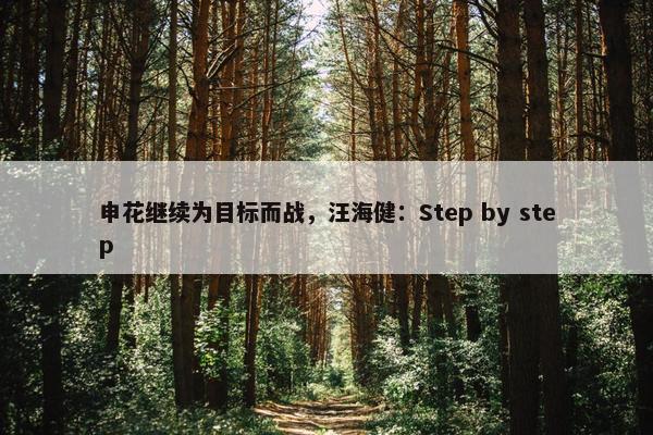 申花继续为目标而战，汪海健：Step by step