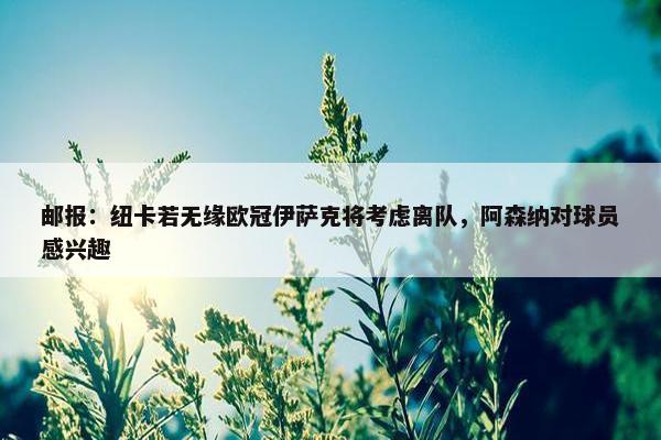 邮报：纽卡若无缘欧冠伊萨克将考虑离队，阿森纳对球员感兴趣