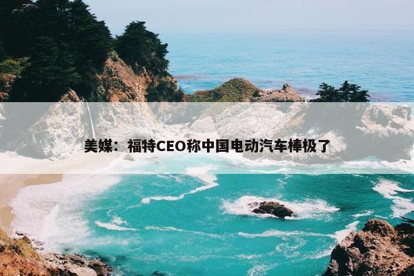 美媒：福特CEO称中国电动汽车棒极了