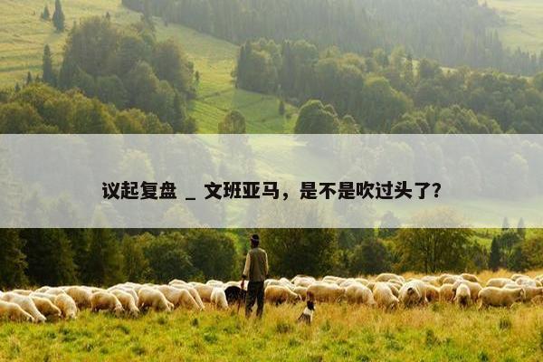 议起复盘 _ 文班亚马，是不是吹过头了？