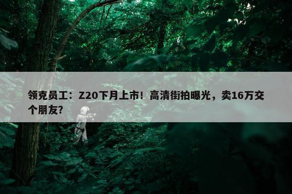 领克员工：Z20下月上市！高清街拍曝光，卖16万交个朋友？