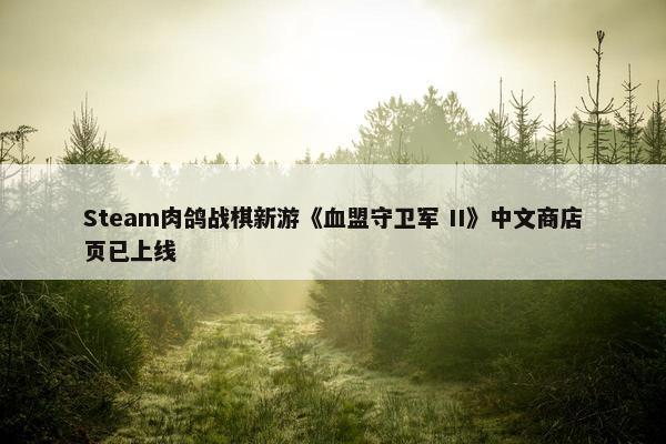 Steam肉鸽战棋新游《血盟守卫军 II》中文商店页已上线