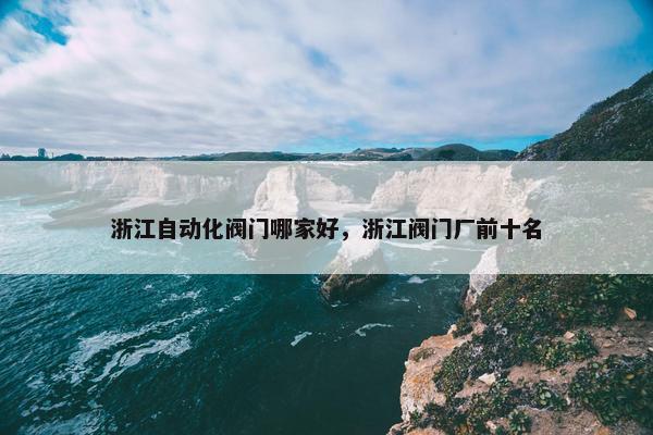 浙江自动化阀门哪家好，浙江阀门厂前十名