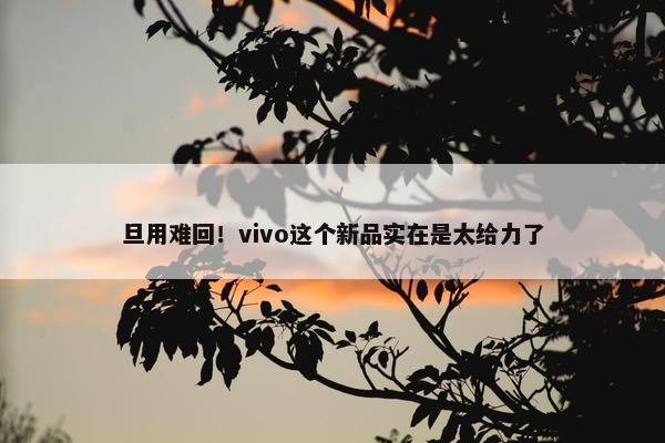 旦用难回！vivo这个新品实在是太给力了