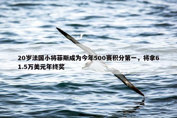 20岁法国小将菲斯成为今年500赛积分第一，将拿61.5万美元年终奖