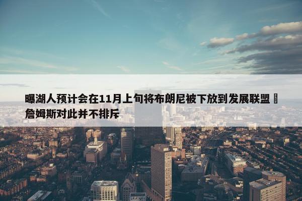 曝湖人预计会在11月上旬将布朗尼被下放到发展联盟 詹姆斯对此并不排斥