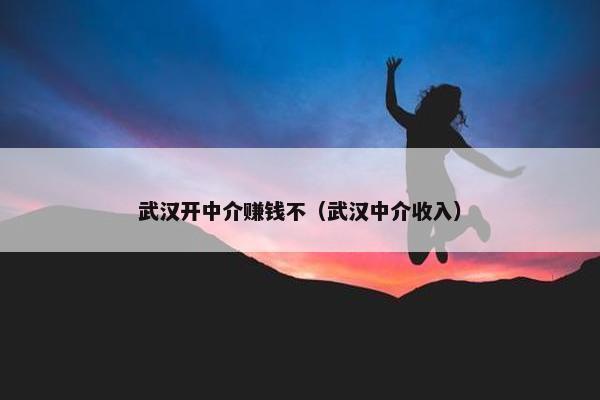 武汉开中介赚钱不（武汉中介收入）