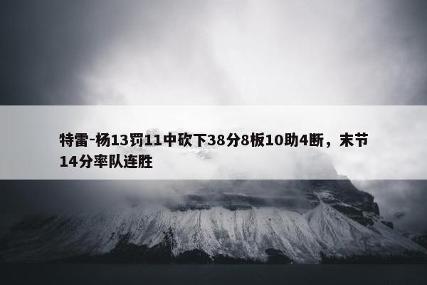 特雷-杨13罚11中砍下38分8板10助4断，末节14分率队连胜