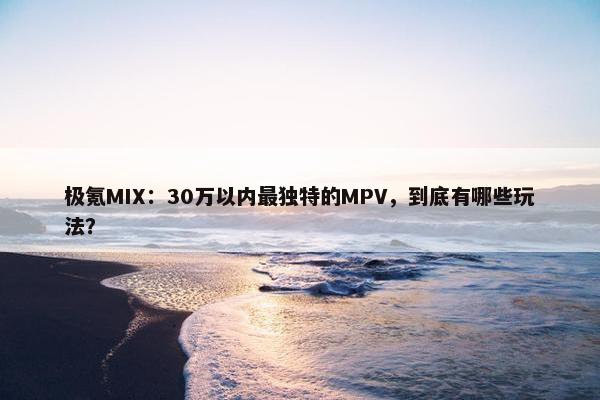 极氪MIX：30万以内最独特的MPV，到底有哪些玩法？