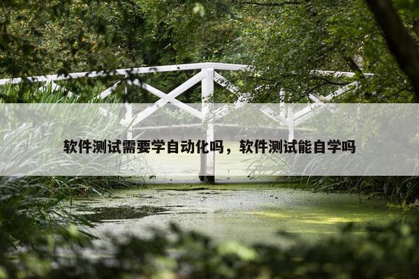 软件测试需要学自动化吗，软件测试能自学吗