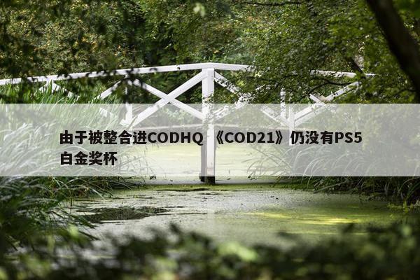 由于被整合进CODHQ 《COD21》仍没有PS5白金奖杯