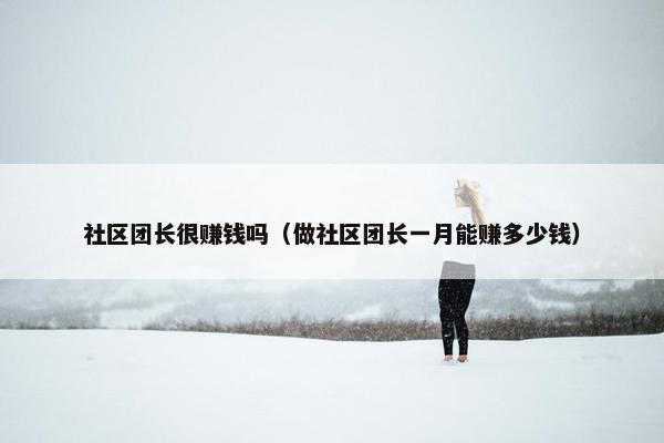 社区团长很赚钱吗（做社区团长一月能赚多少钱）