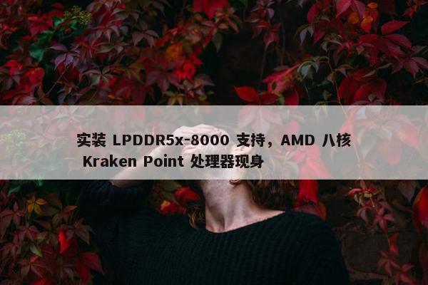 实装 LPDDR5x-8000 支持，AMD 八核 Kraken Point 处理器现身