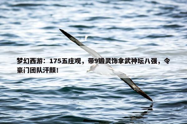 梦幻西游：175五庄观，带9锻灵饰拿武神坛八强，令豪门团队汗颜！