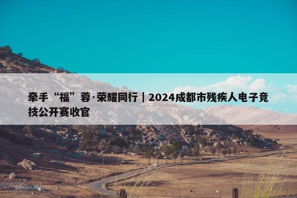 牵手“福”蓉·荣耀同行｜2024成都市残疾人电子竞技公开赛收官