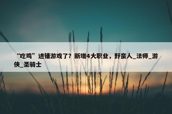 “吃鸡”进错游戏了？新增4大职业，野蛮人_法师_游侠_圣骑士