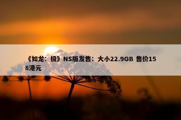 《如龙：极》NS版发售：大小22.9GB 售价158港元