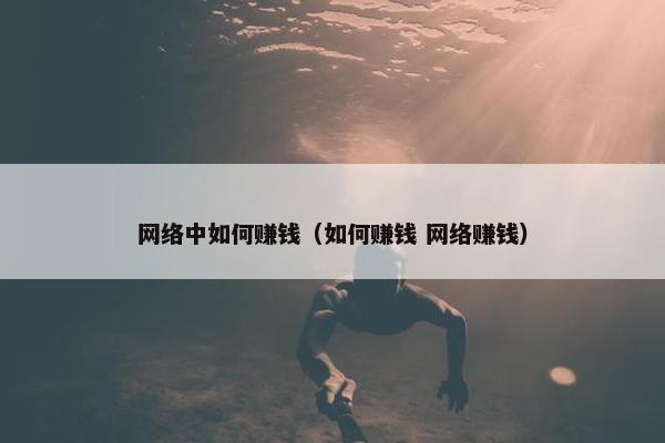 网络中如何赚钱（如何赚钱 网络赚钱）