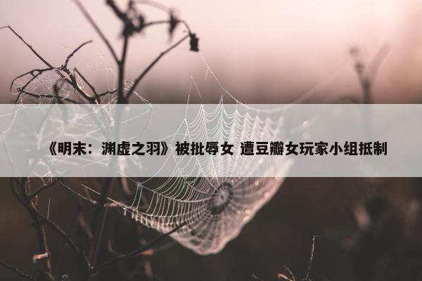 《明末：渊虚之羽》被批辱女 遭豆瓣女玩家小组抵制