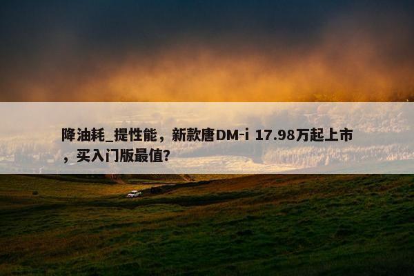 降油耗_提性能，新款唐DM-i 17.98万起上市，买入门版最值？