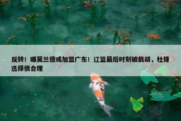 反转！曝莫兰德或加盟广东！辽篮最后时刻被截胡，杜锋选择很合理