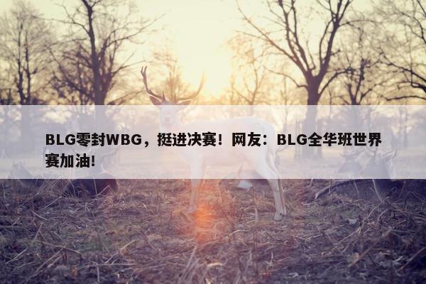 BLG零封WBG，挺进决赛！网友：BLG全华班世界赛加油！