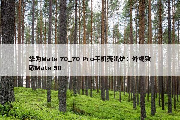 华为Mate 70_70 Pro手机壳出炉：外观致敬Mate 50