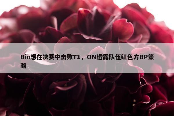 Bin想在决赛中击败T1，ON透露队伍红色方BP策略