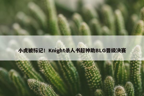 小虎被标记！Knight杀人书超神助BLG晋级决赛