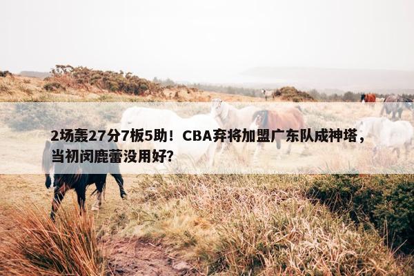 2场轰27分7板5助！CBA弃将加盟广东队成神塔，当初闵鹿蕾没用好？