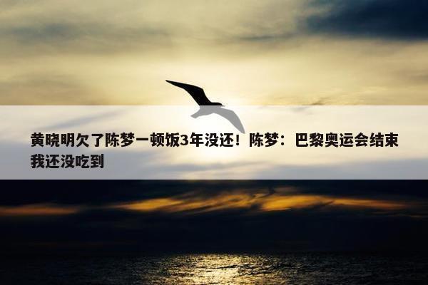 黄晓明欠了陈梦一顿饭3年没还！陈梦：巴黎奥运会结束我还没吃到