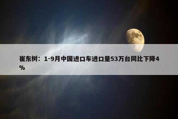 崔东树：1-9月中国进口车进口量53万台同比下降4%