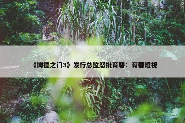 《博德之门3》发行总监怒批育碧：育碧短视