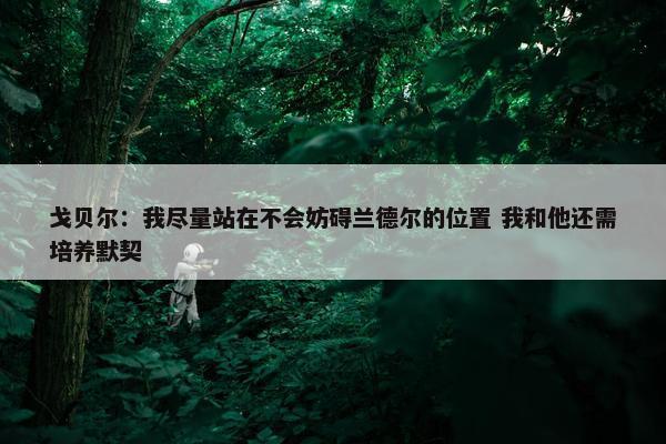 戈贝尔：我尽量站在不会妨碍兰德尔的位置 我和他还需培养默契