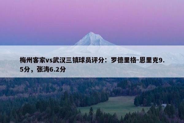 梅州客家vs武汉三镇球员评分：罗德里格-恩里克9.5分，张涛6.2分