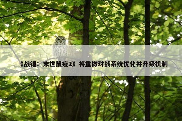 《战锤：末世鼠疫2》将重做对战系统优化并升级机制