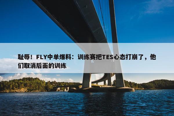 耻辱！FLY中单爆料：训练赛把TES心态打崩了，他们取消后面的训练