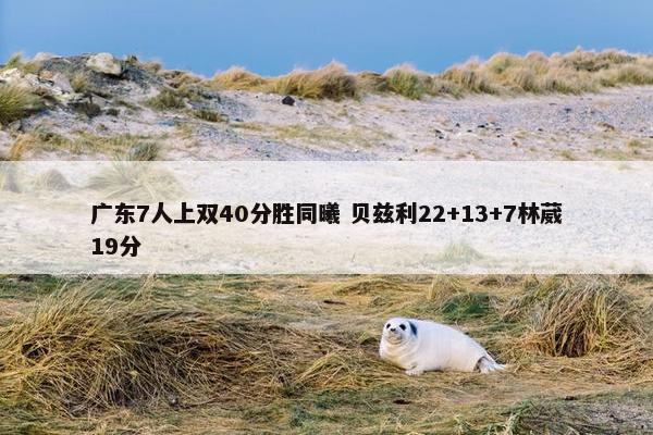 广东7人上双40分胜同曦 贝兹利22+13+7林葳19分