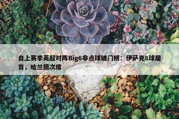 自上赛季英超对阵Big6非点球破门榜：伊萨克8球居首，哈兰德次席