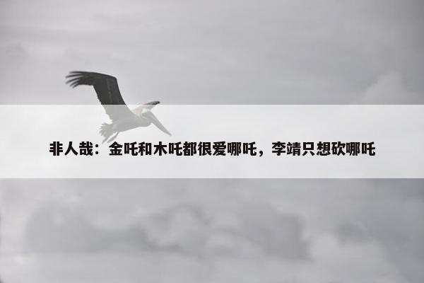 非人哉：金吒和木吒都很爱哪吒，李靖只想砍哪吒