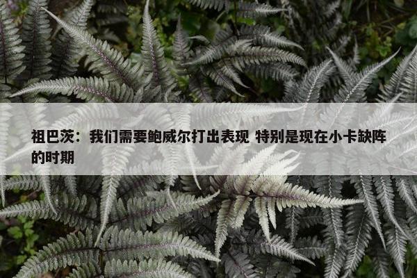 祖巴茨：我们需要鲍威尔打出表现 特别是现在小卡缺阵的时期