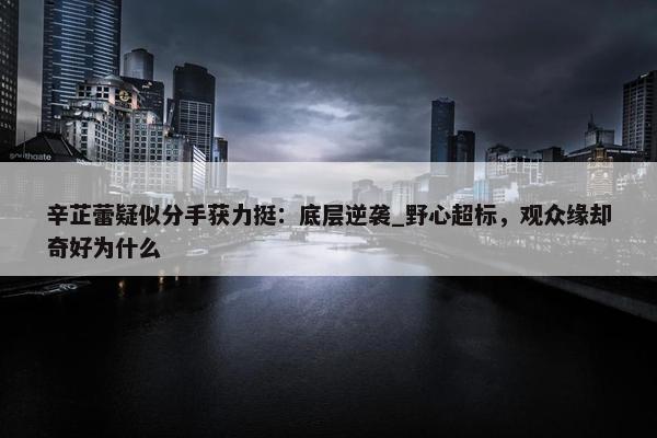 辛芷蕾疑似分手获力挺：底层逆袭_野心超标，观众缘却奇好为什么