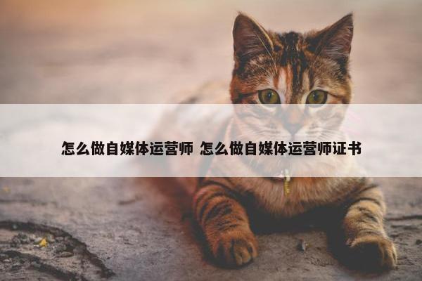 怎么做自媒体运营师 怎么做自媒体运营师证书