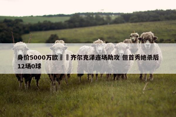 身价5000万欧‍️齐尔克泽连场助攻 但首秀绝杀后12场0球