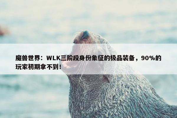 魔兽世界：WLK三阶段身份象征的极品装备，90%的玩家初期拿不到！